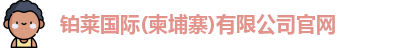 铂莱国际
